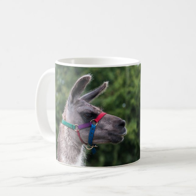 Taza De Café Superioridad de Llama (Anverso izquierdo)