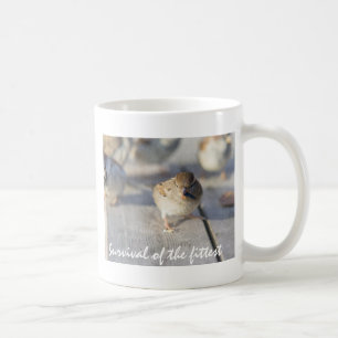 Taza De Café Supervivencia De La Más Apta
