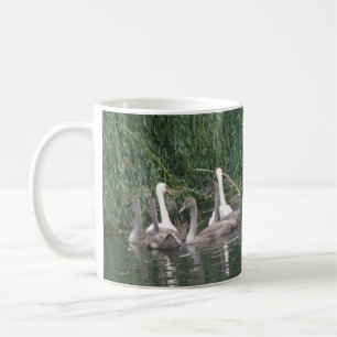 Taza De Café Swans and Cygnets Mug