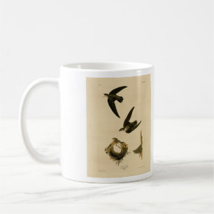 Taza De Café Swift Audubon, estadounidense (chimenea), pájaros 