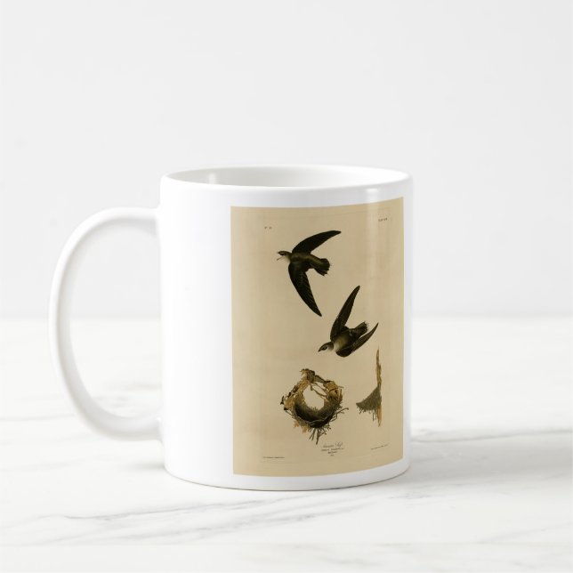 Taza De Café Swift Audubon, estadounidense (chimenea), pájaros  (Izquierda)