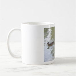 Taza De Café Swimming Ducks