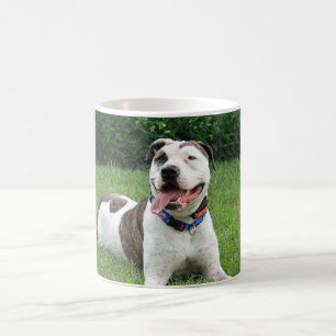 Taza De Café T-Hueso del pitbull
