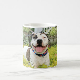 Taza De Café T-Hueso del pitbull
