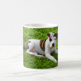 Taza De Café T-Hueso del pitbull del perrito