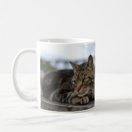 Taza De Café Tabby cat listo para la acción