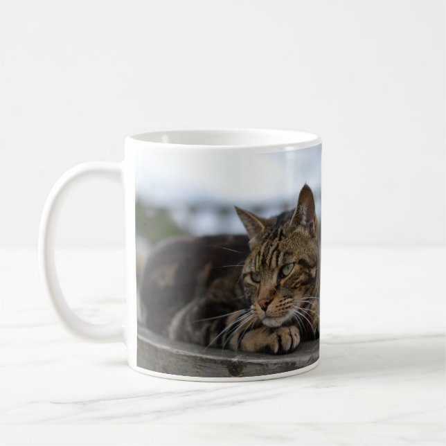 Taza De Café Tabby cat listo para la acción (Izquierda)