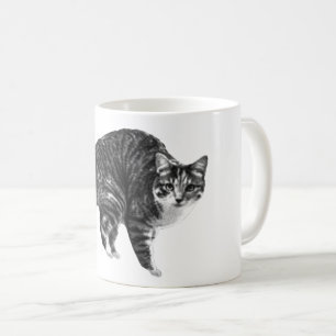 Taza De Café Tabby Glow por Ventana de Invierno
