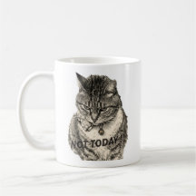 Tabby 'Tude "NO HOY!"