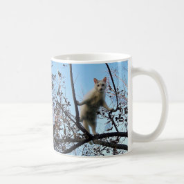 Taza De Café Tadpole