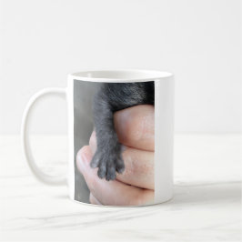 Taza De Café Take Care Of Me, Kitten Coffee Mug