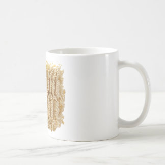 Taza De Café Tallarines de ramen secados
