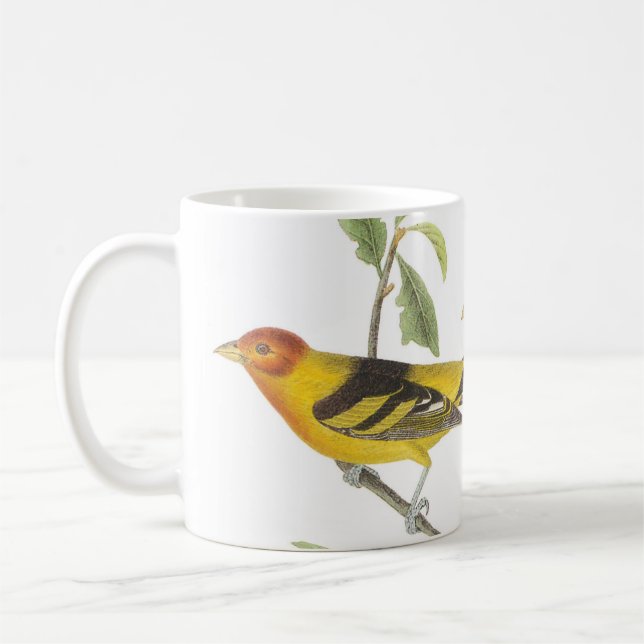 Taza De Café Tanager occidental por Audubon (Izquierda)