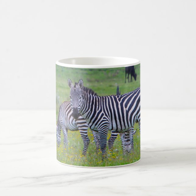 Taza De Café Tanzania Zebra (Centro)