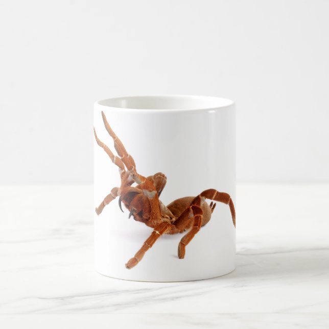 Taza De Café Tarantula. de rey Baboon (Centro)