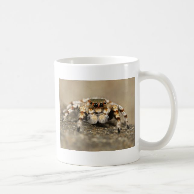 Taza De Café Tarantula Jumping Bird Spider accesorios impresion (Derecha)