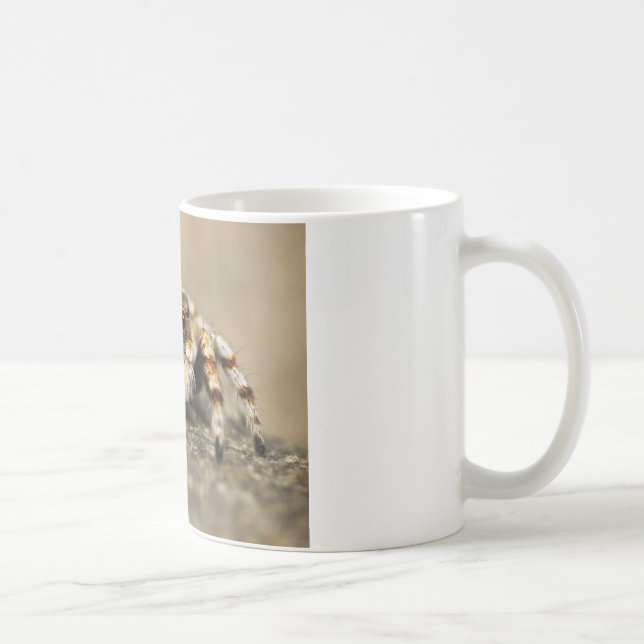 Taza De Café Tarantula Jumping Bird Spider accesorios impresion (Derecha)