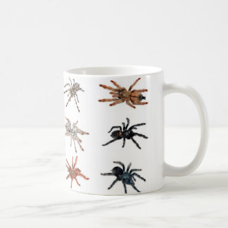 Taza De Café tarantulas