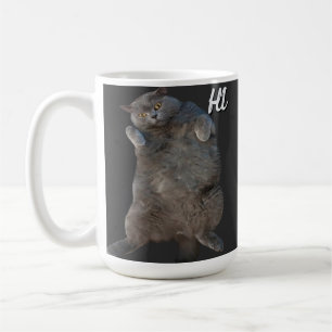 Taza De Café Tarjeta de disculpa trasera para gato gatito britá