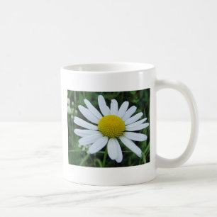 Taza De Café Tasse weisse Margerite