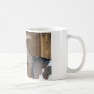 Taza De Café Tauernschecken-Ziege
