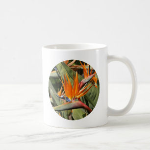 Taza De Café Taza, ave del paraíso