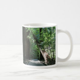 Taza De Café "Taza de café de maderas de Muir"