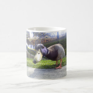 Taza De Café "Taza de café del encuentro del pato"
