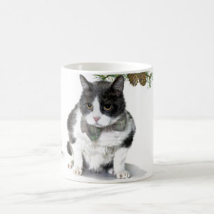 Taza De Café Taza: Felix, el gato, acampando en agosto