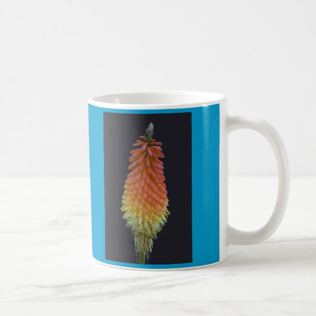 Taza De Café Taza, Kniphophia # 219 (Derecha)