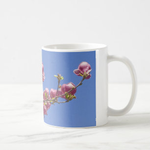 Taza De Café Taza, magnolias, rama de flores