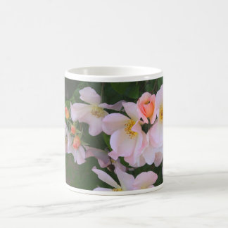 Taza De Café Taza, rosas # 4515