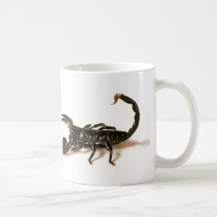 Taza De Café Taza/taza del escorpión del emperador