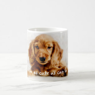 Taza De Café Taza/taza lindas del perro de cocker spaniel