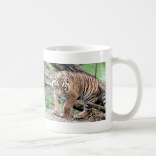 Taza De Café Taza. tigre fotográfico, gato. 