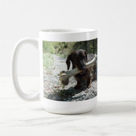 Taza De Café Teckel