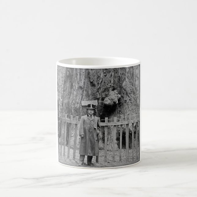 Taza De Café Teddy Roosevelt en la arboleda grande Santa Cruz (Centro)