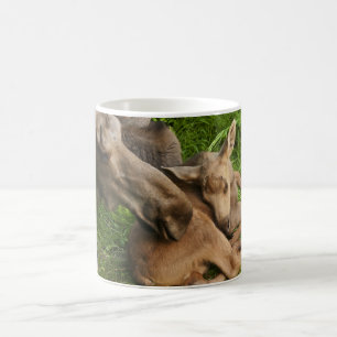 Taza De Café Tender Mother Moose