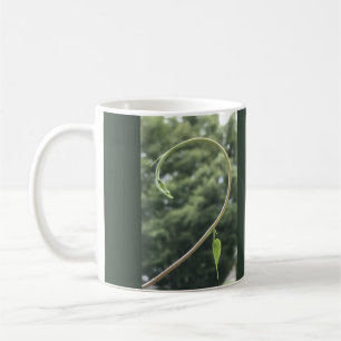 Taza De Café Tendón y hoja de gloria de la mañana 