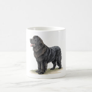Taza De Café Terranova