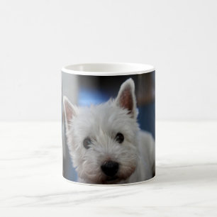 Taza De Café Terrier blanco y occidental extremadamente lindo