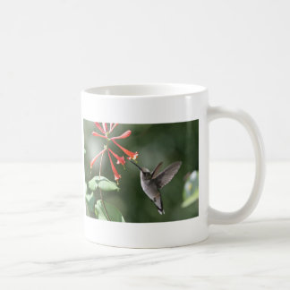 Taza De Café Tesoros del colibrí