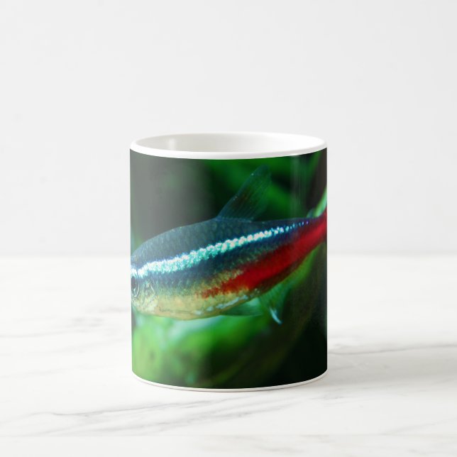 Taza De Café Tetra Paracheirodon de neón Innesi de los pescados (Centro)