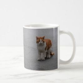 Taza De Café Thomas Ginger Y Gato Blanco