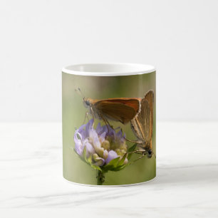 Taza De Café Thymelicus lineola