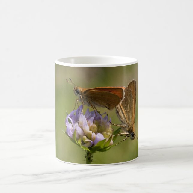 Taza De Café Thymelicus lineola (Centro)