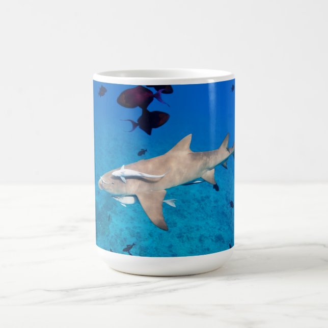 Taza De Café Tiburón (Centro)
