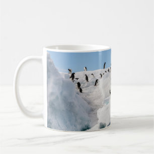 Taza De Café Tiempo de reproducción de Gentoo Penguin Antártica