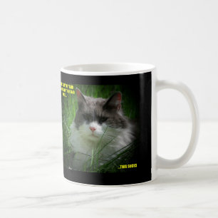 Taza De Café ¿Tienes un poco de sol?