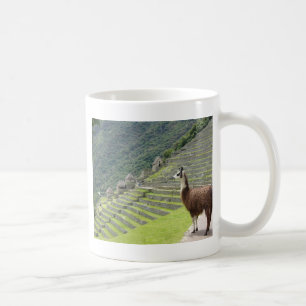 Taza De Café tierras de llama